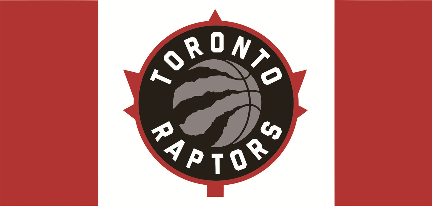 Toronto Raptors Flags iron on heat transfer